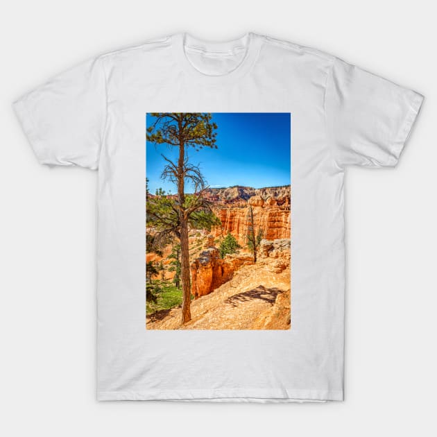 Bryce Canyon National Park T-Shirt by Gestalt Imagery